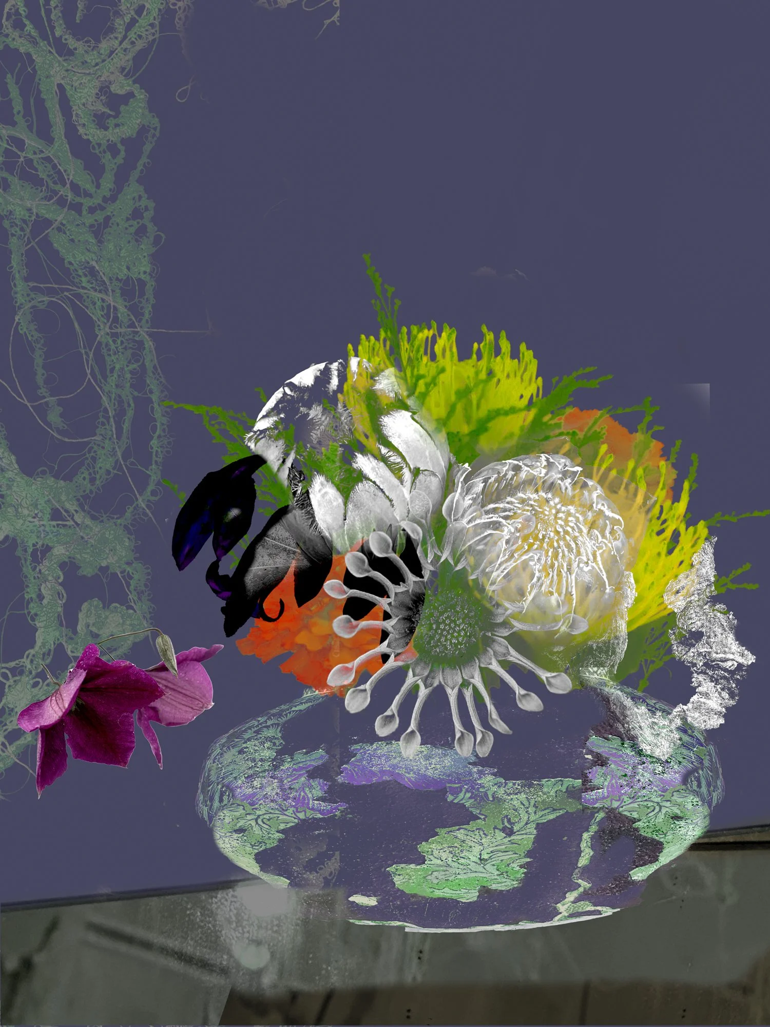 Existential Still Lifes — carol eisenberg
